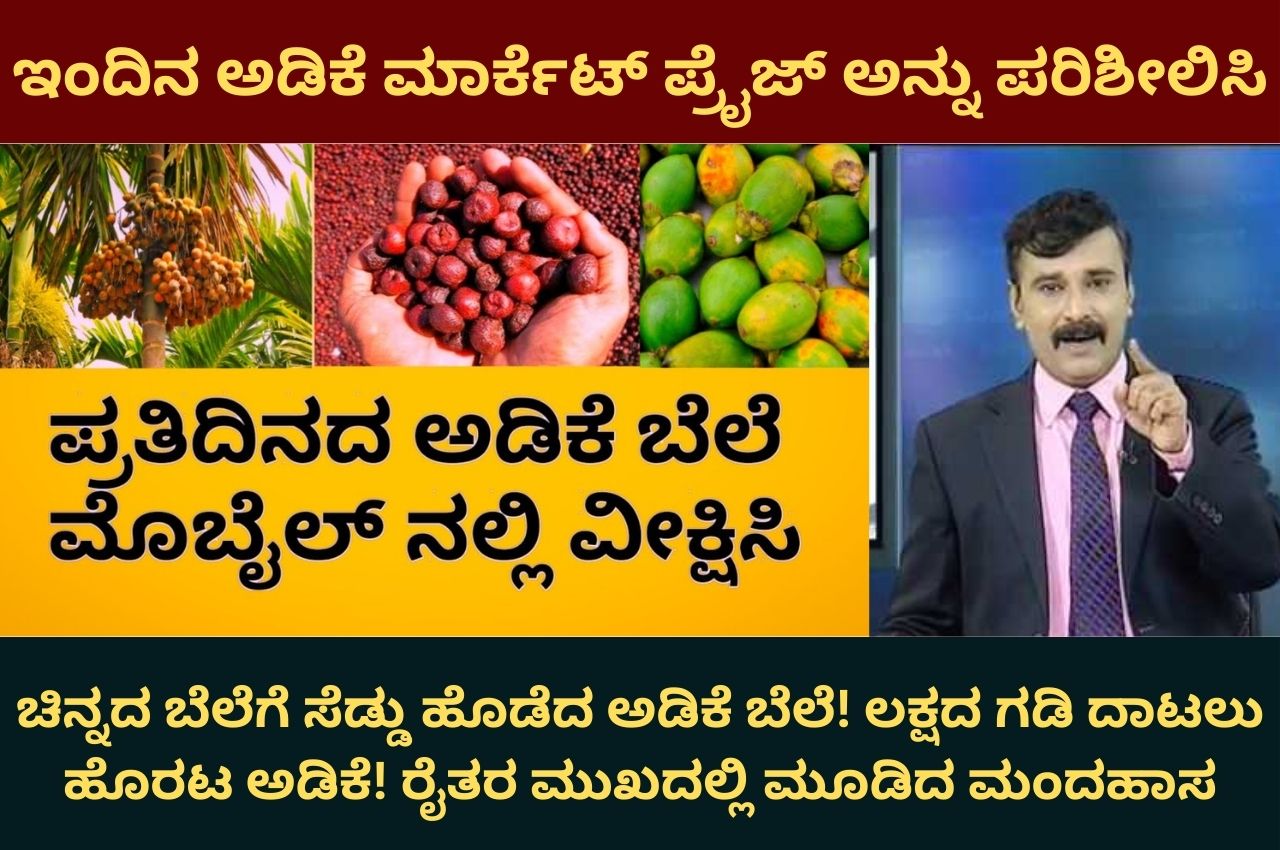 adike price in karnataka