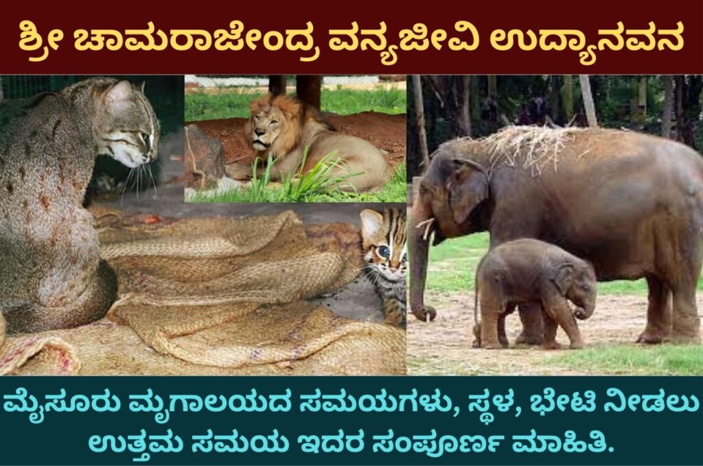 mysore zoo information in kannada