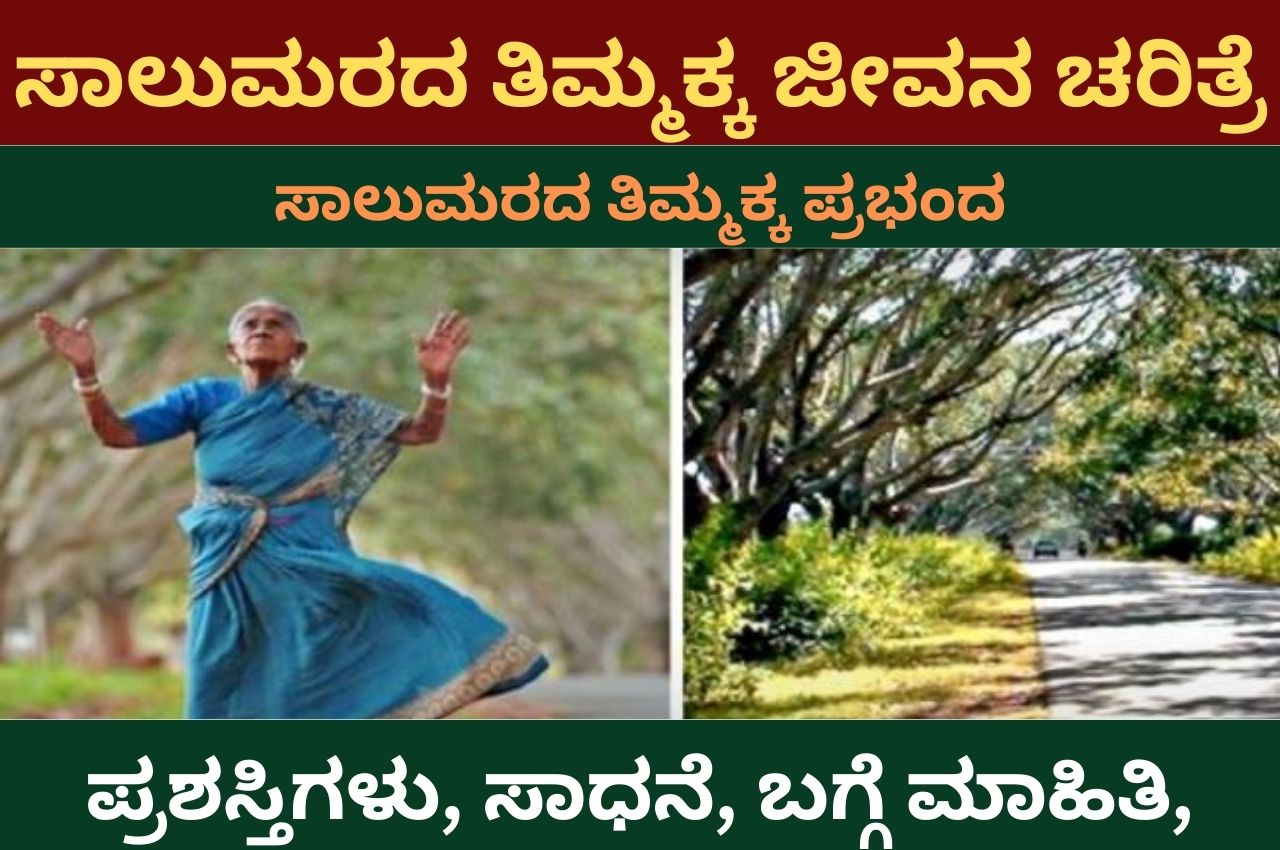saalumarada thimmakka information in kannada