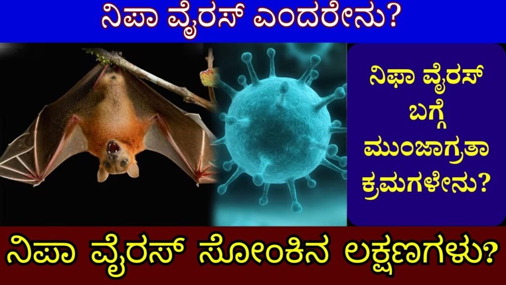Symptoms of Nipah Virus Infection and What is Nipah Virus in kannada
