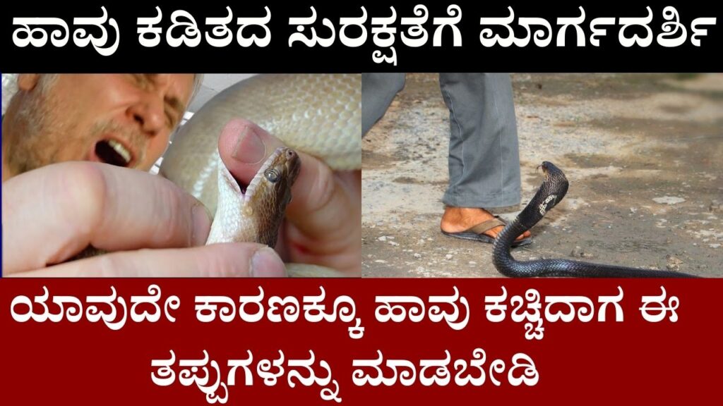 Avoid These Mistakes When Bitten by a Snake in kannada
