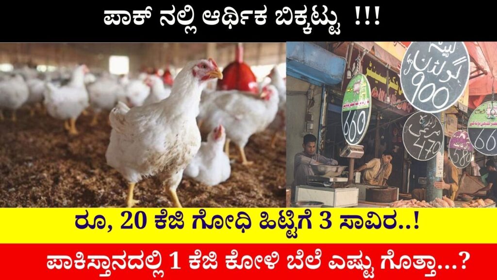Economic crisis in Pakistan Rs 700 for 1 kg chicken and Rs 3 thousand for 20 kg wheat flour