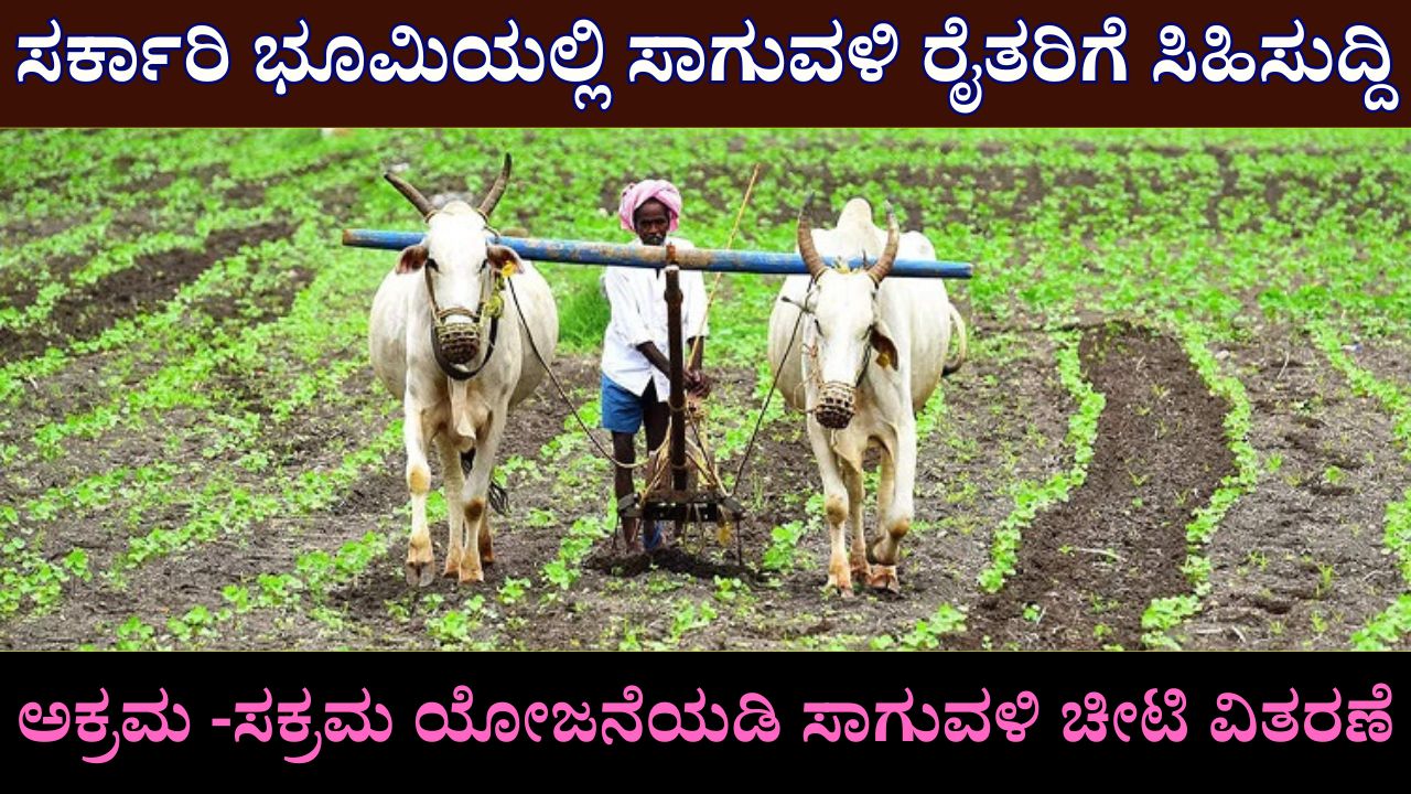 Issuance of Cultivation Voucher under Illegal - Regular Scheme