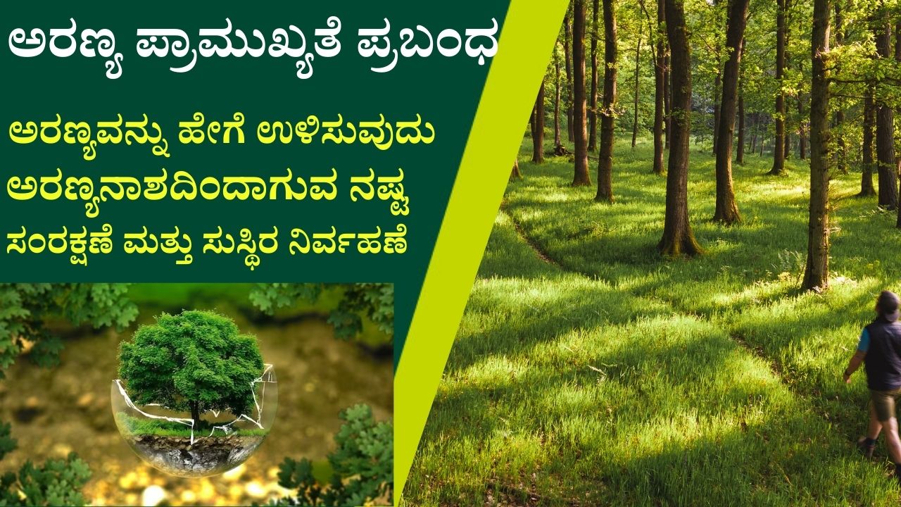 ಅರಣ್ಯ ಪ್ರಾಮುಖ್ಯತೆ ಪ್ರಬಂಧ ಕಾಡಿನ ಮೇಲೆ ಪ್ರಬಂಧ Forest Conservation