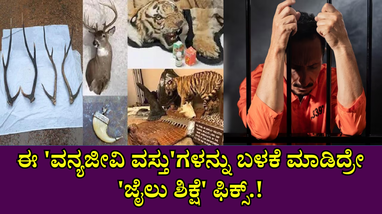 Imprisonment is prescribed to prevent the public from consuming these wildlife products