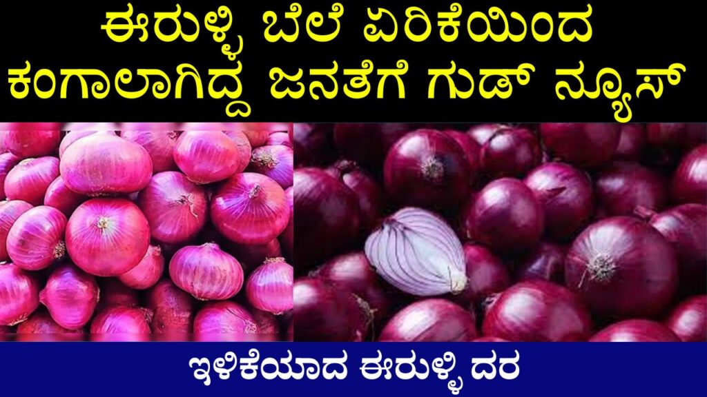 The relief for consumers is a reduction in onion prices
