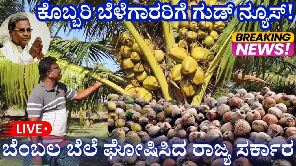 Good news for coconut farmers is the announcement of support price by the state government