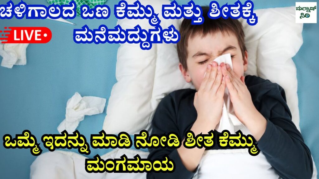 Home Remedies for Dry Cough and Runny Nose in Winter