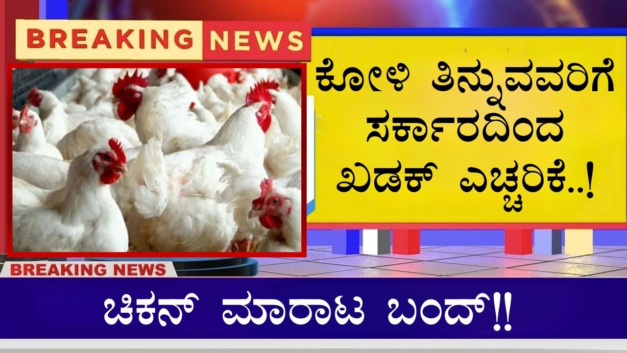 Chicken Sale Ban