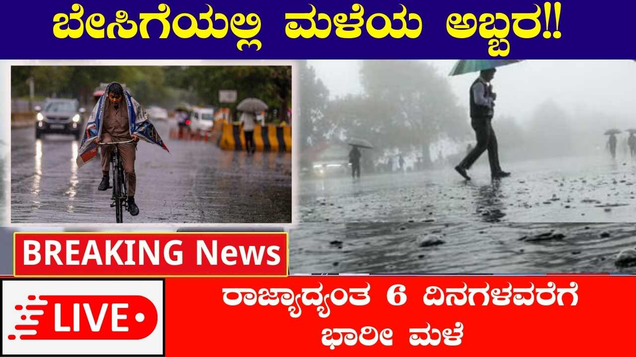 Rain Alert