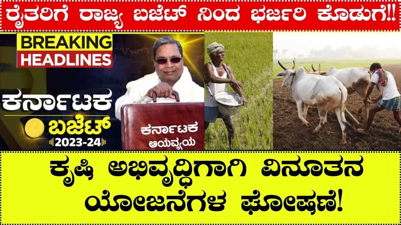 State Budget