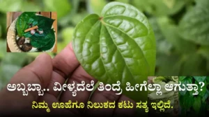 health benefits of Betel leaf