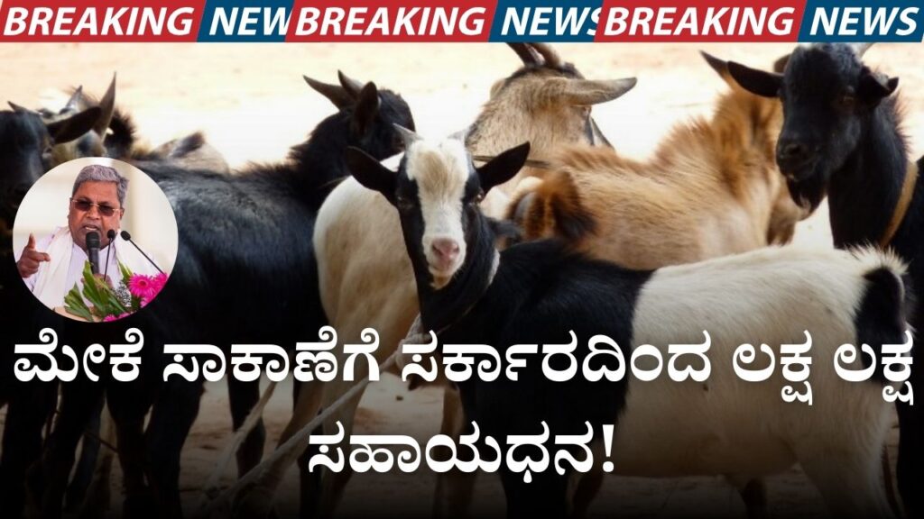 50 lakh subsidy for goat rearing