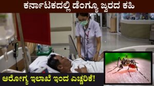Best precautionary measures to prevent dengue fever