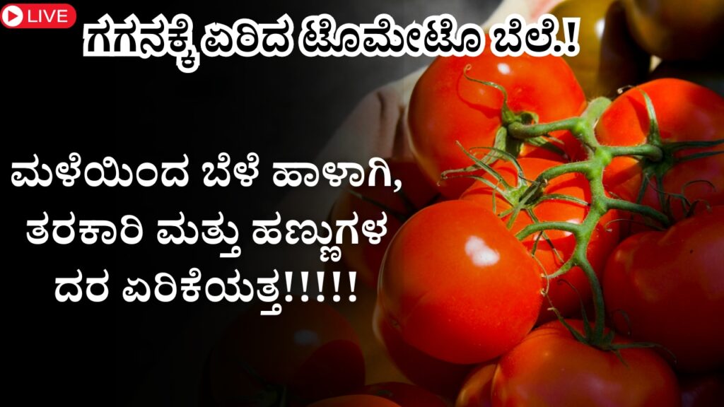 Tomato price has hike in karnataka