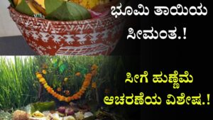 seege hunnime or bhumi hunnime information in kannada