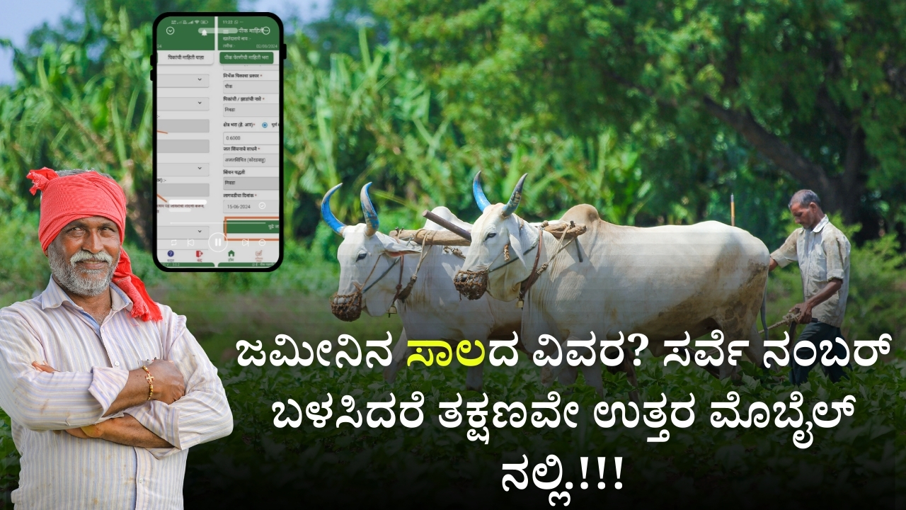 Know your land loan details from the survey number