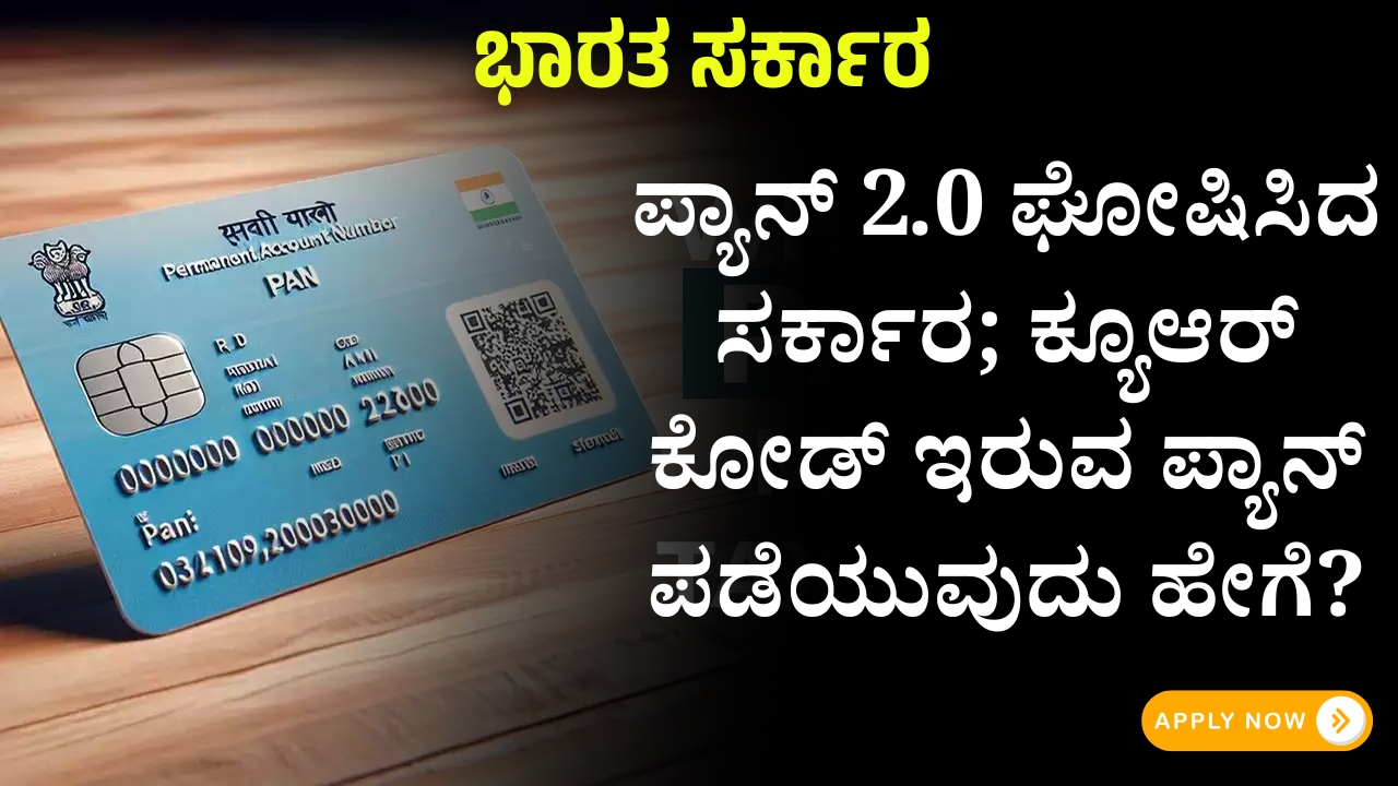 Government announces PAN 2.0