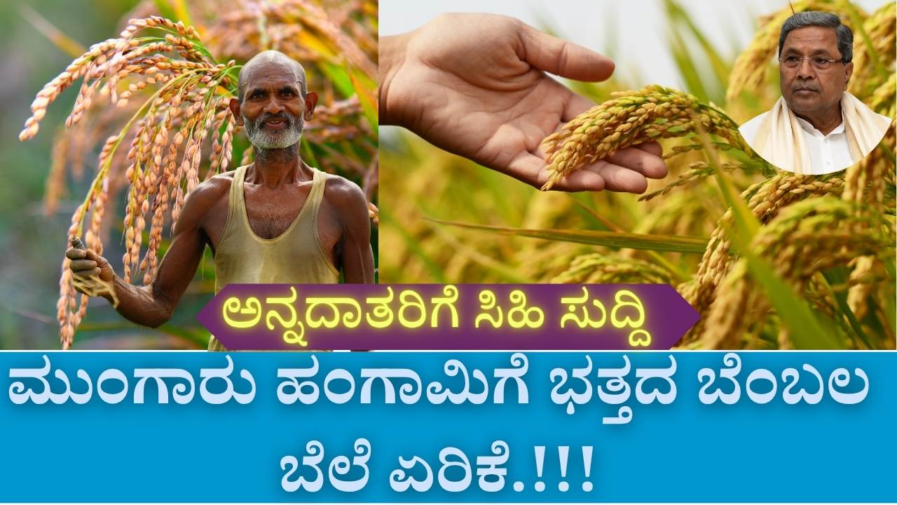 2025-26 monsoon season rice msp increase